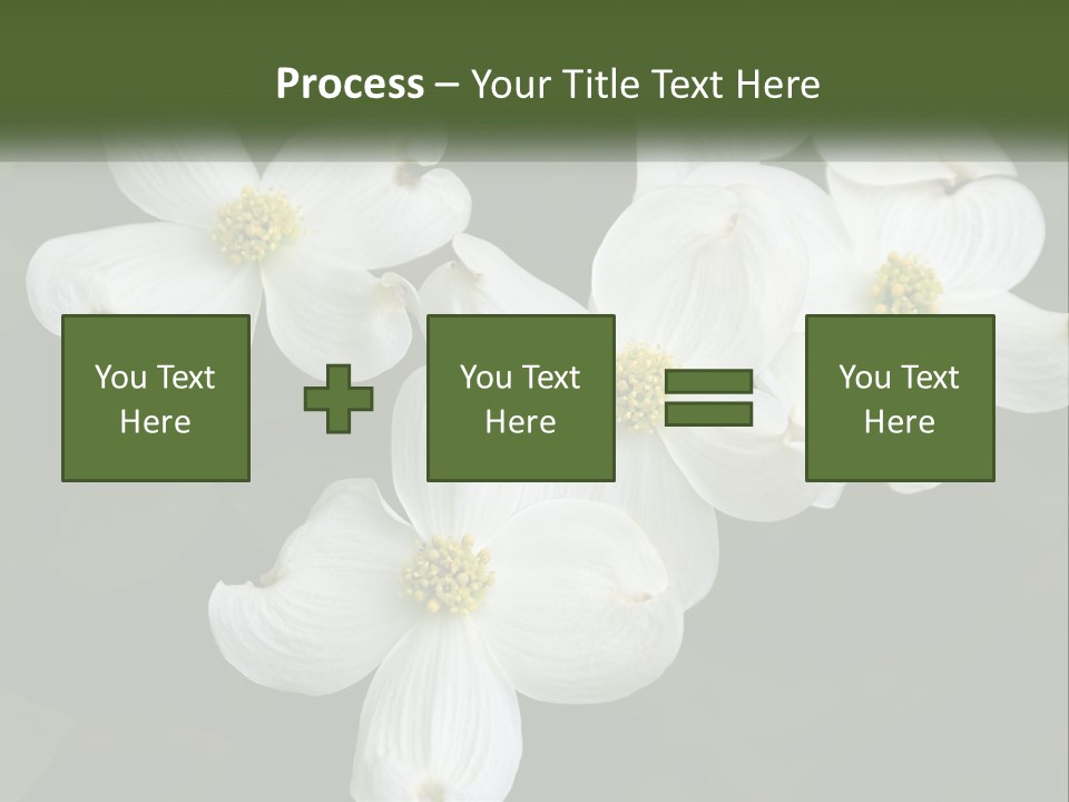 Landscape Deciduous Landscaping PowerPoint Template