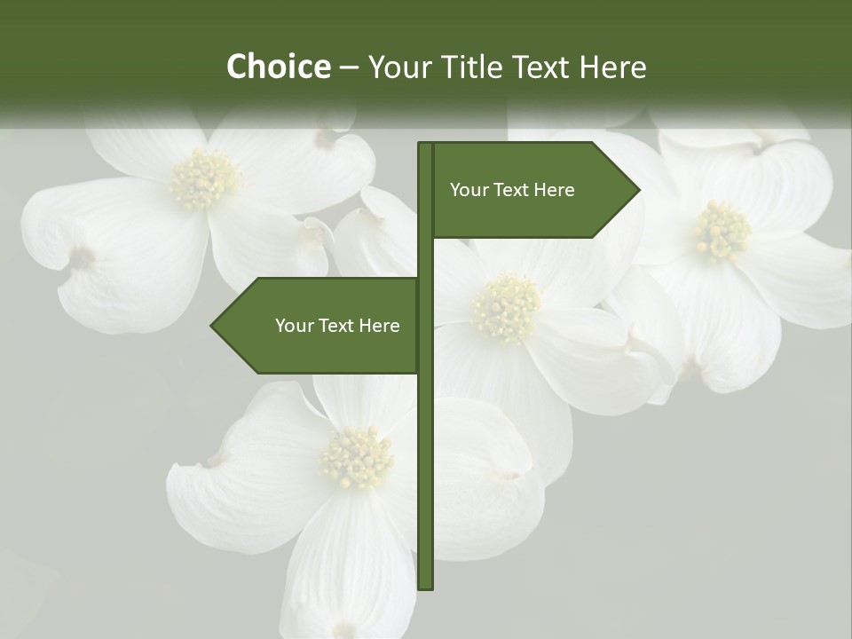 Landscape Deciduous Landscaping PowerPoint Template