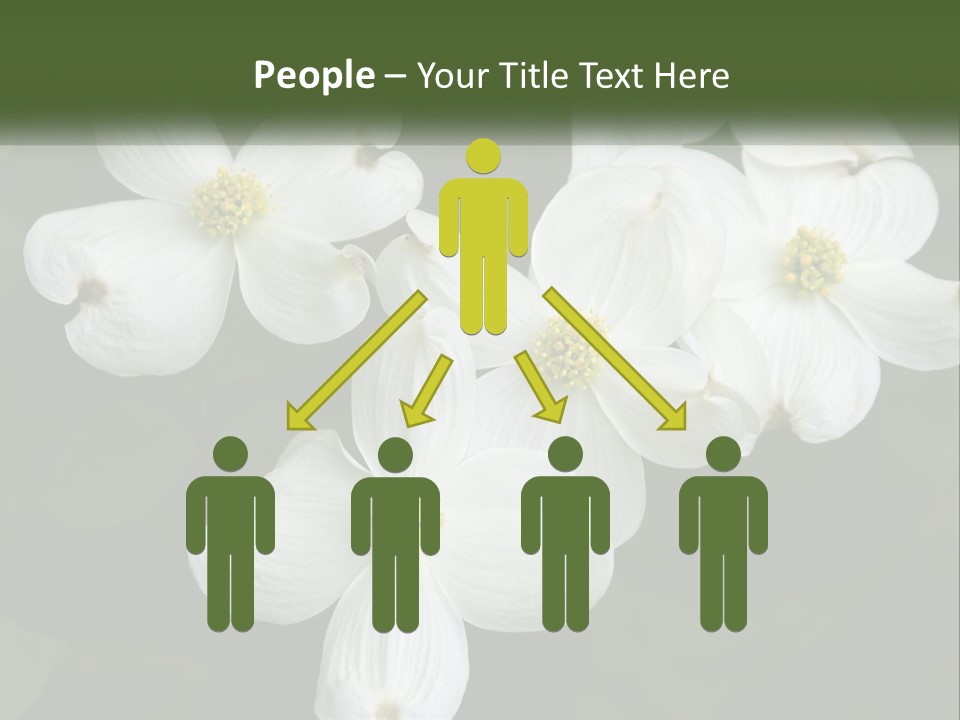 Landscape Deciduous Landscaping PowerPoint Template