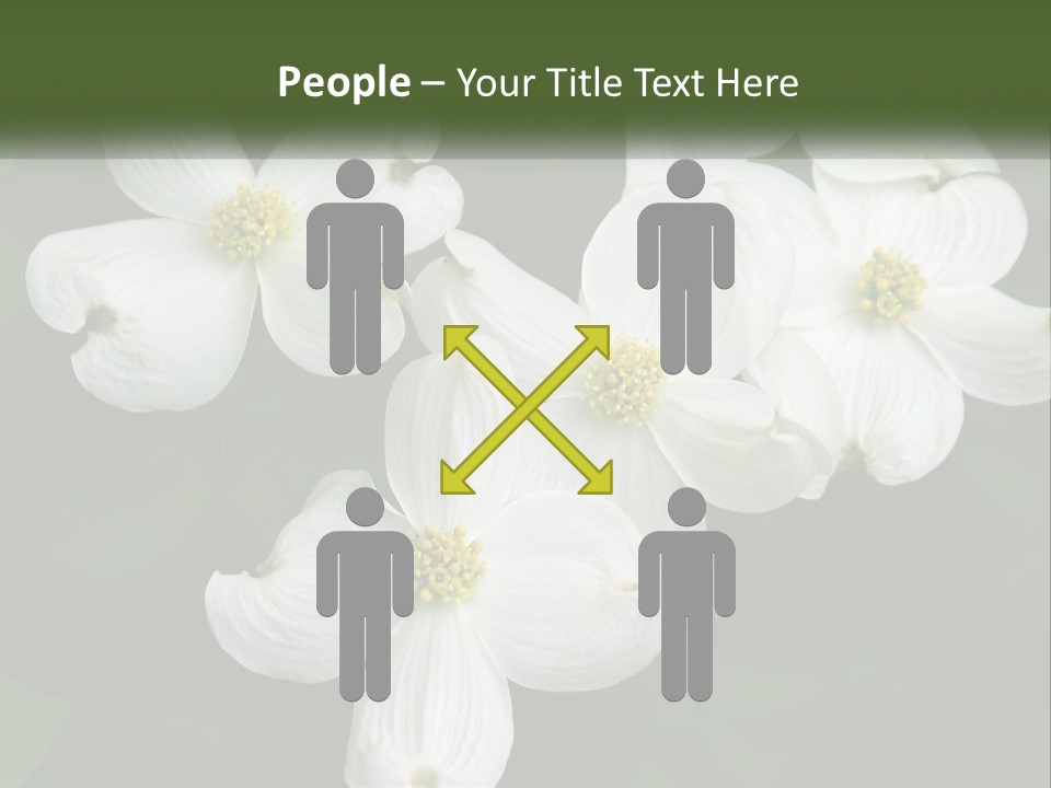 Landscape Deciduous Landscaping PowerPoint Template