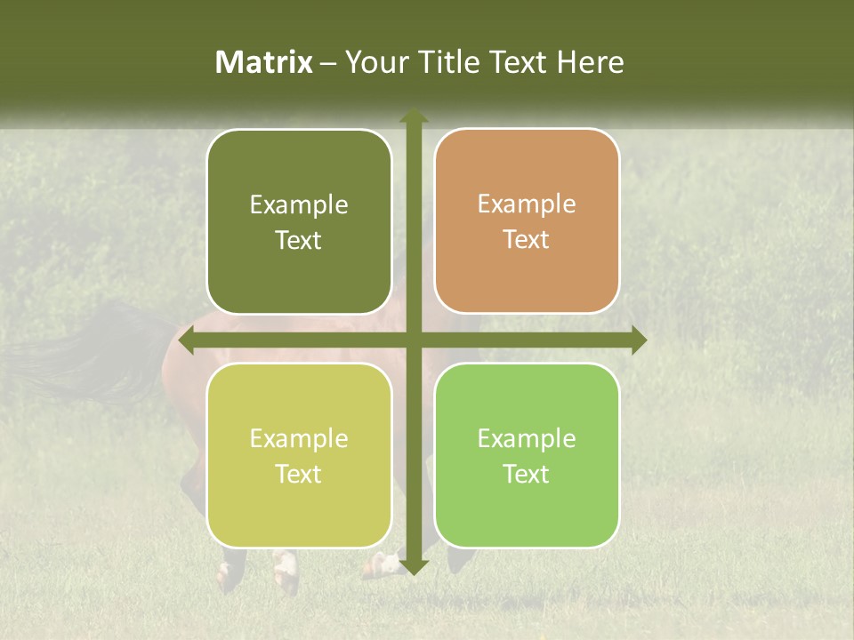 A Brown Horse Running Through A Field Of Grass PowerPoint Template