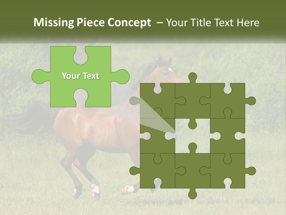 A Brown Horse Running Through A Field Of Grass PowerPoint Template