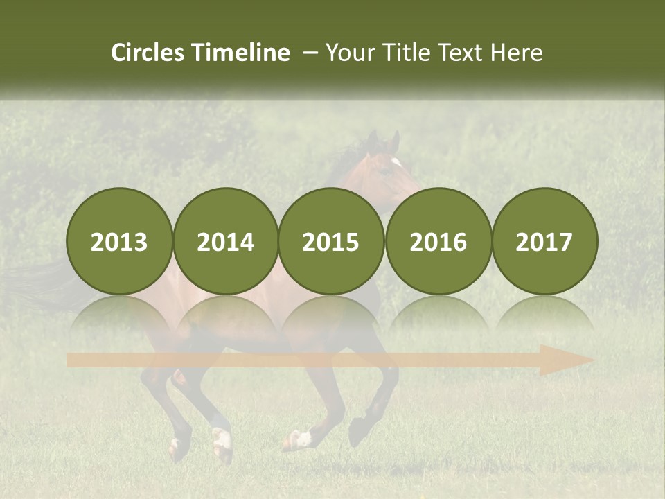 A Brown Horse Running Through A Field Of Grass PowerPoint Template