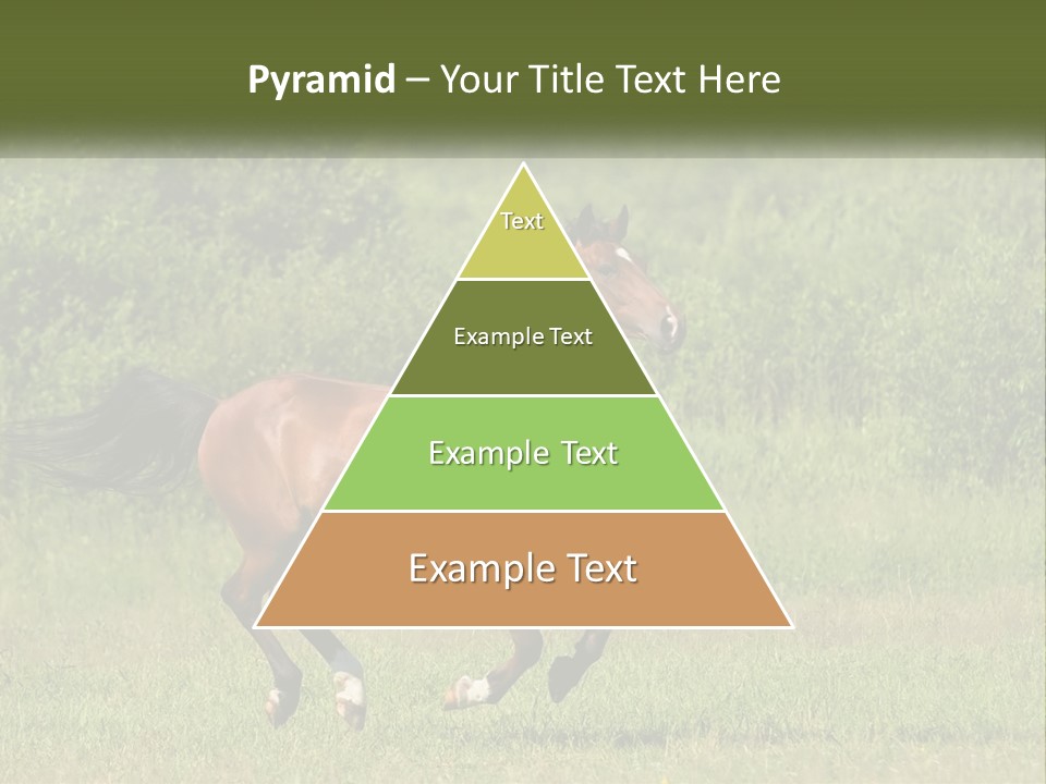 A Brown Horse Running Through A Field Of Grass PowerPoint Template