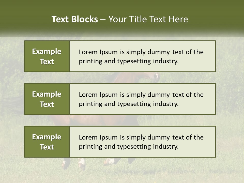 A Brown Horse Running Through A Field Of Grass PowerPoint Template