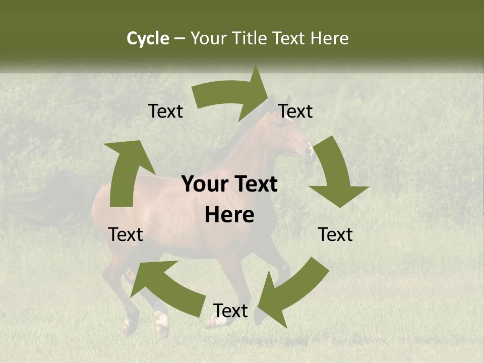 A Brown Horse Running Through A Field Of Grass PowerPoint Template