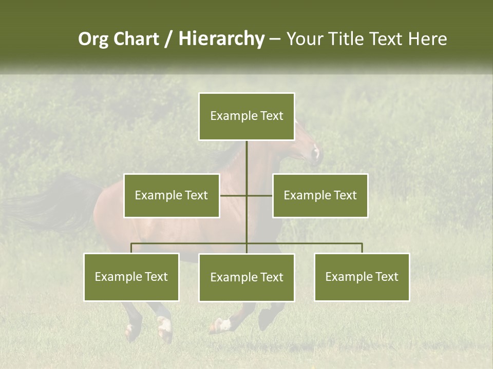 A Brown Horse Running Through A Field Of Grass PowerPoint Template