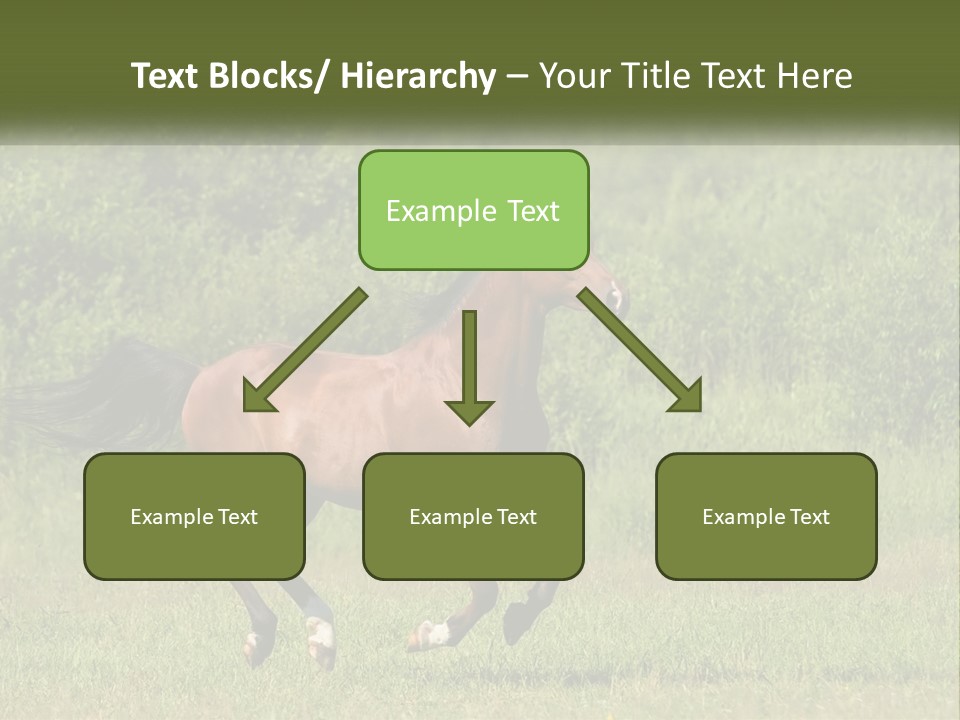 A Brown Horse Running Through A Field Of Grass PowerPoint Template