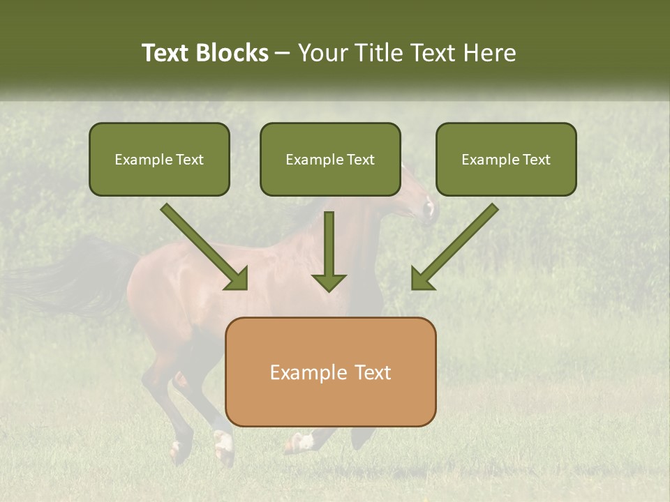 A Brown Horse Running Through A Field Of Grass PowerPoint Template