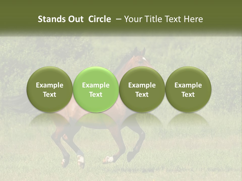 A Brown Horse Running Through A Field Of Grass PowerPoint Template