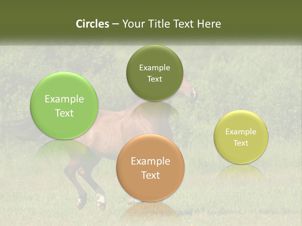 A Brown Horse Running Through A Field Of Grass PowerPoint Template
