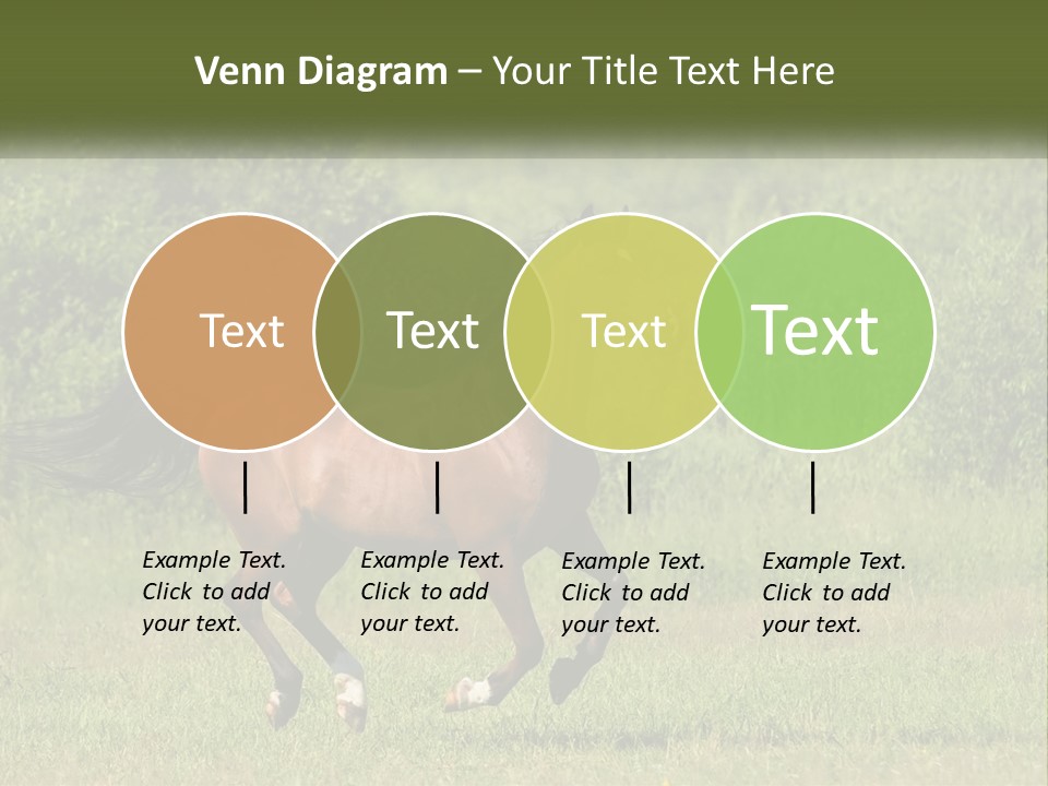 A Brown Horse Running Through A Field Of Grass PowerPoint Template