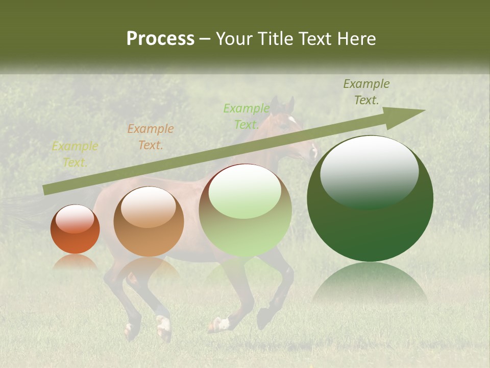 A Brown Horse Running Through A Field Of Grass PowerPoint Template