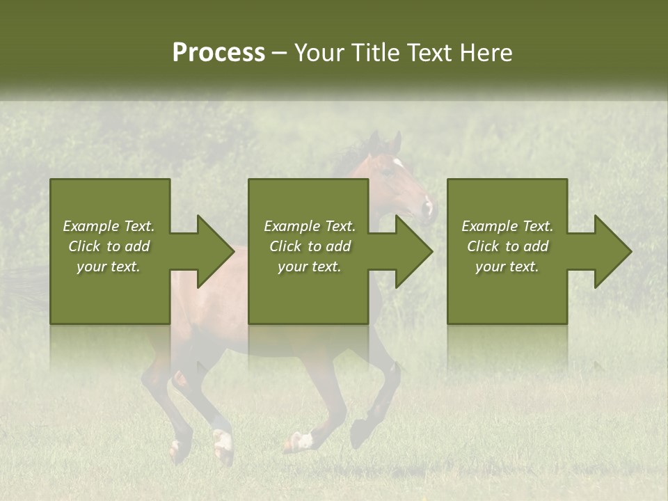 A Brown Horse Running Through A Field Of Grass PowerPoint Template