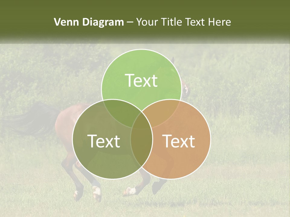 A Brown Horse Running Through A Field Of Grass PowerPoint Template