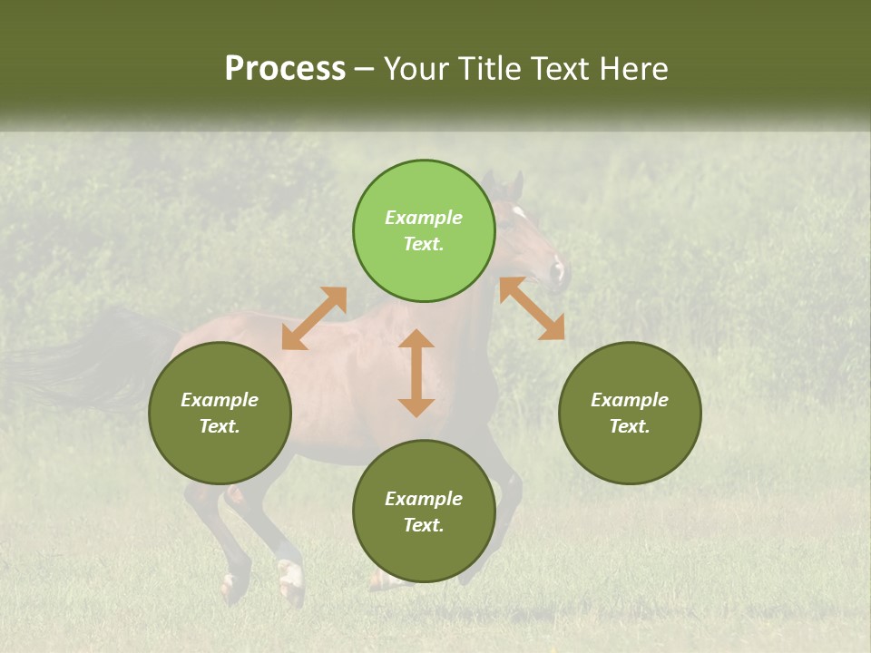 A Brown Horse Running Through A Field Of Grass PowerPoint Template
