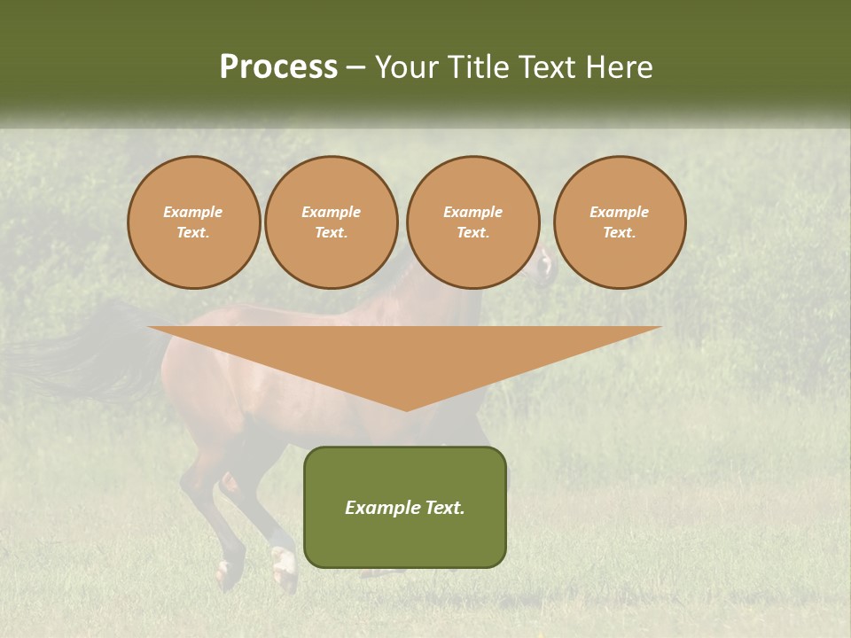 A Brown Horse Running Through A Field Of Grass PowerPoint Template