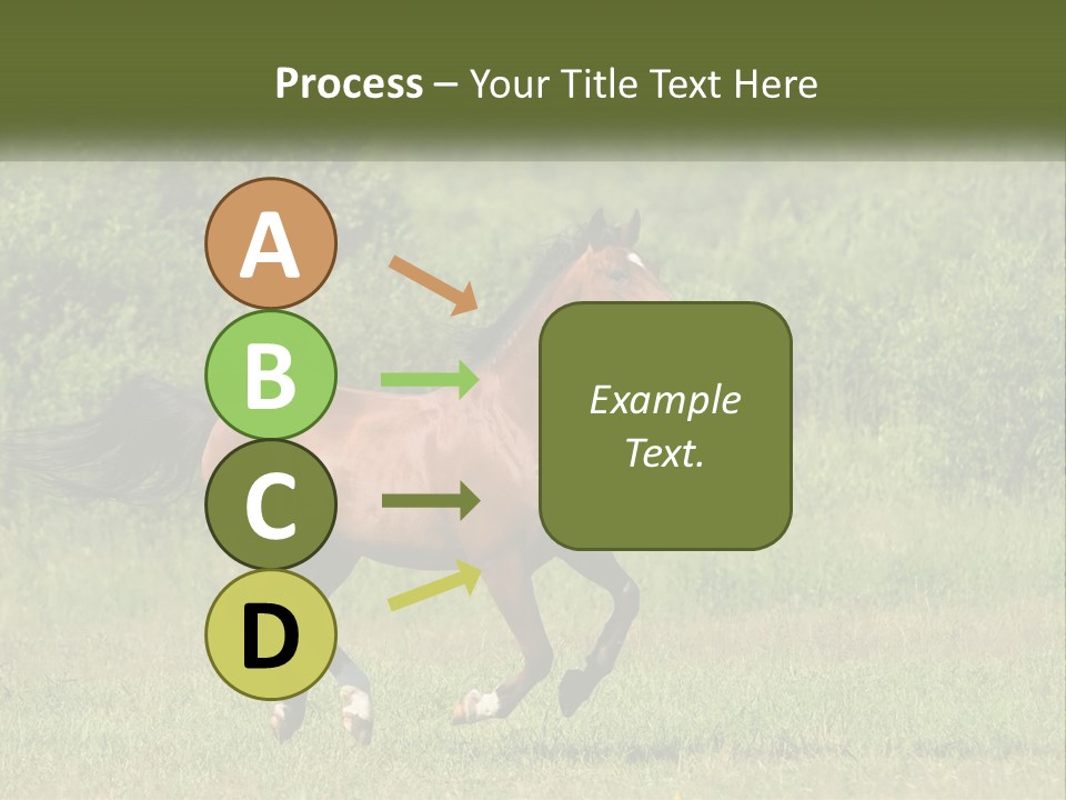 A Brown Horse Running Through A Field Of Grass PowerPoint Template