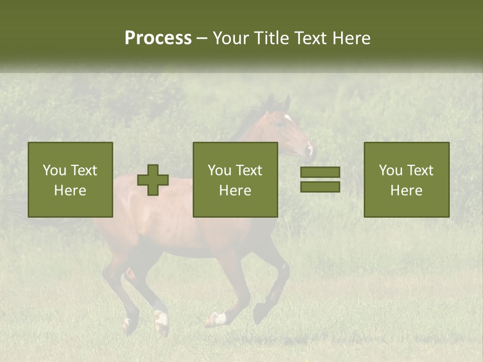 A Brown Horse Running Through A Field Of Grass PowerPoint Template
