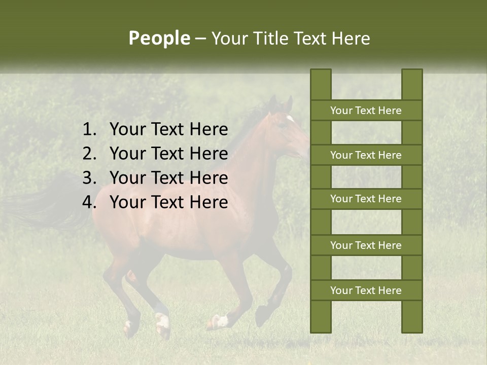 A Brown Horse Running Through A Field Of Grass PowerPoint Template