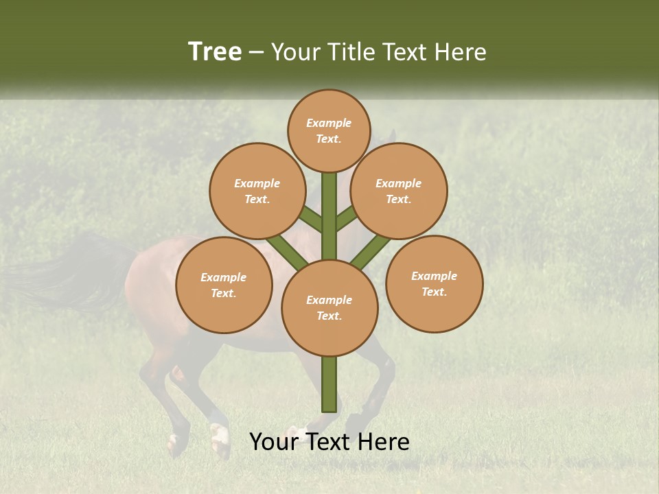 A Brown Horse Running Through A Field Of Grass PowerPoint Template