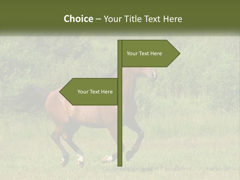 A Brown Horse Running Through A Field Of Grass PowerPoint Template
