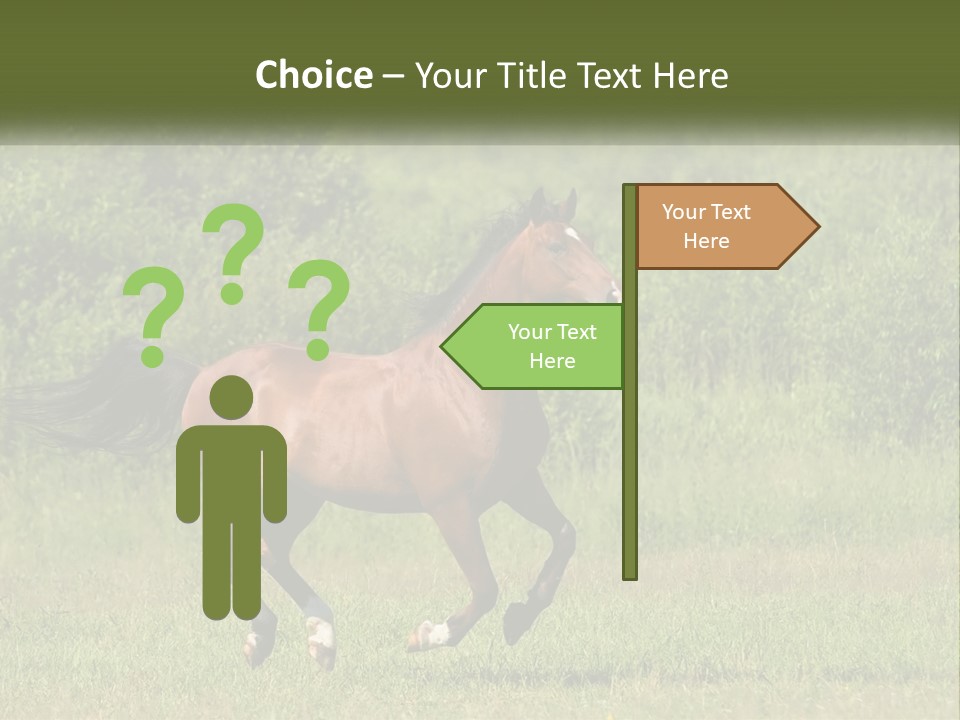 A Brown Horse Running Through A Field Of Grass PowerPoint Template