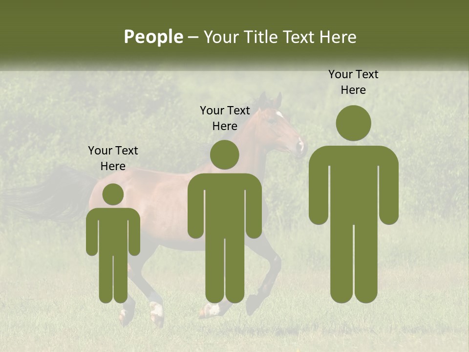A Brown Horse Running Through A Field Of Grass PowerPoint Template