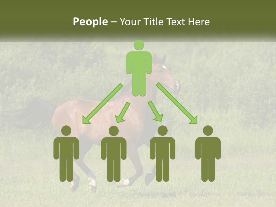 A Brown Horse Running Through A Field Of Grass PowerPoint Template