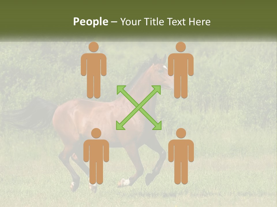 A Brown Horse Running Through A Field Of Grass PowerPoint Template