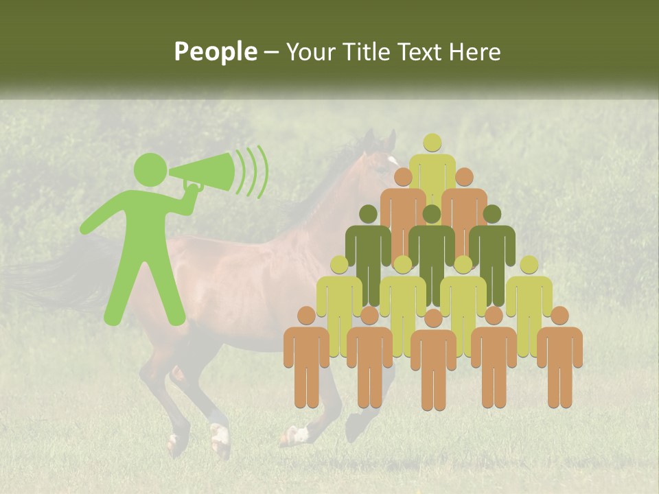 A Brown Horse Running Through A Field Of Grass PowerPoint Template