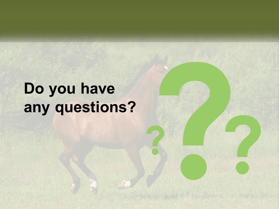 A Brown Horse Running Through A Field Of Grass PowerPoint Template