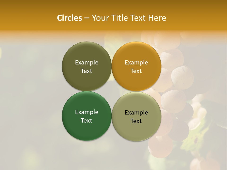 Crop White Sunlight PowerPoint Template