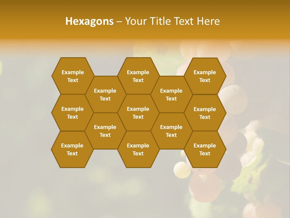 Crop White Sunlight PowerPoint Template