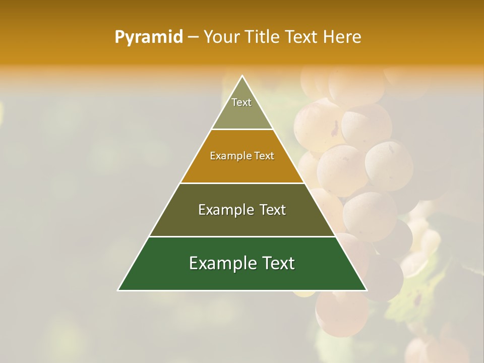 Crop White Sunlight PowerPoint Template