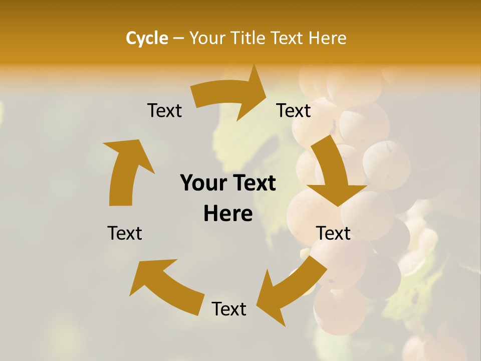 Crop White Sunlight PowerPoint Template