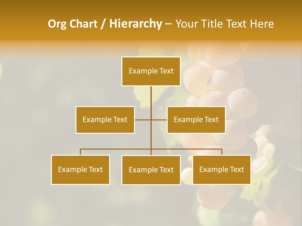 Crop White Sunlight PowerPoint Template
