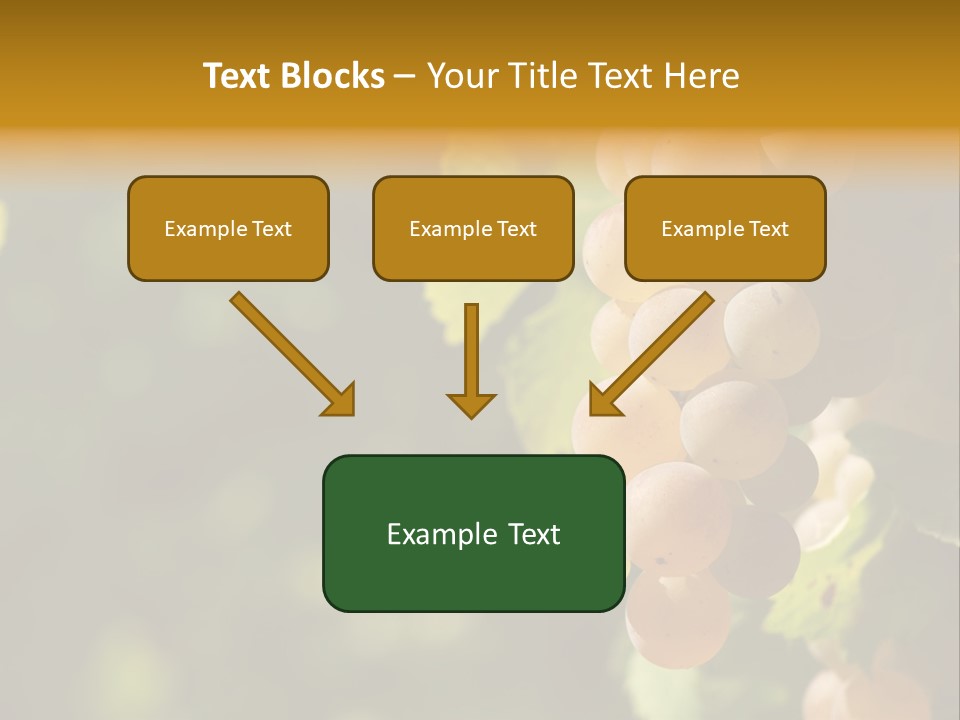 Crop White Sunlight PowerPoint Template