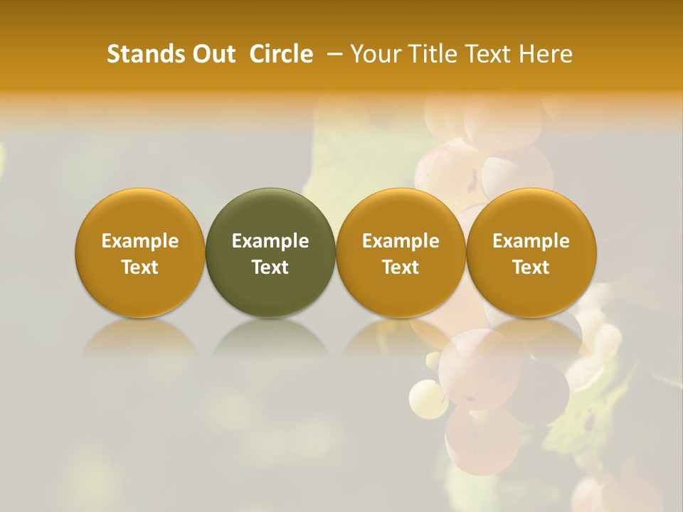 Crop White Sunlight PowerPoint Template