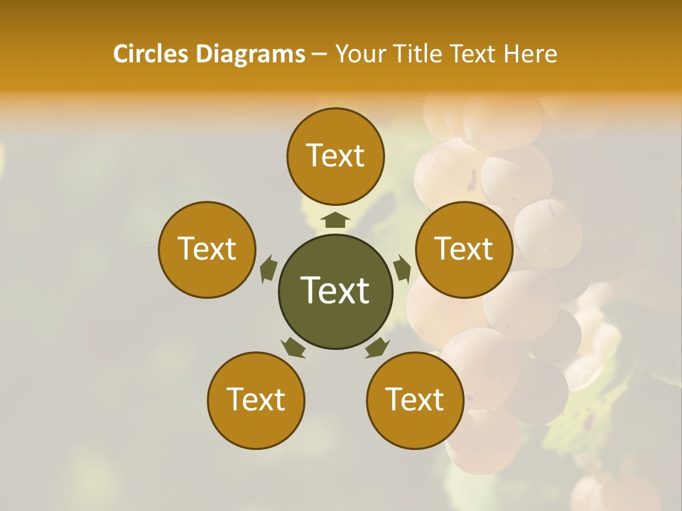 Crop White Sunlight PowerPoint Template