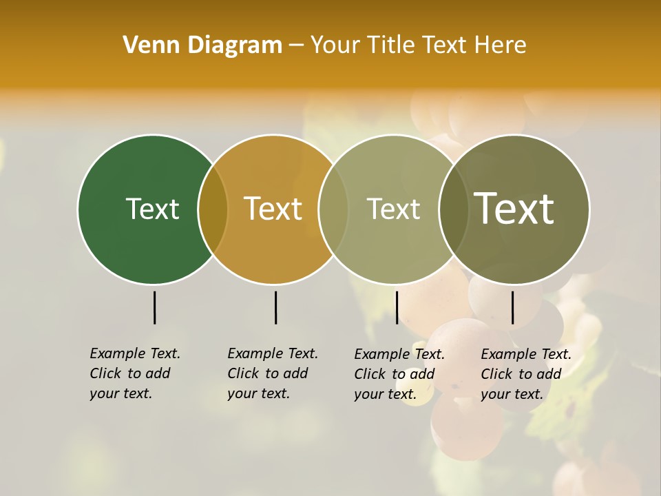 Crop White Sunlight PowerPoint Template