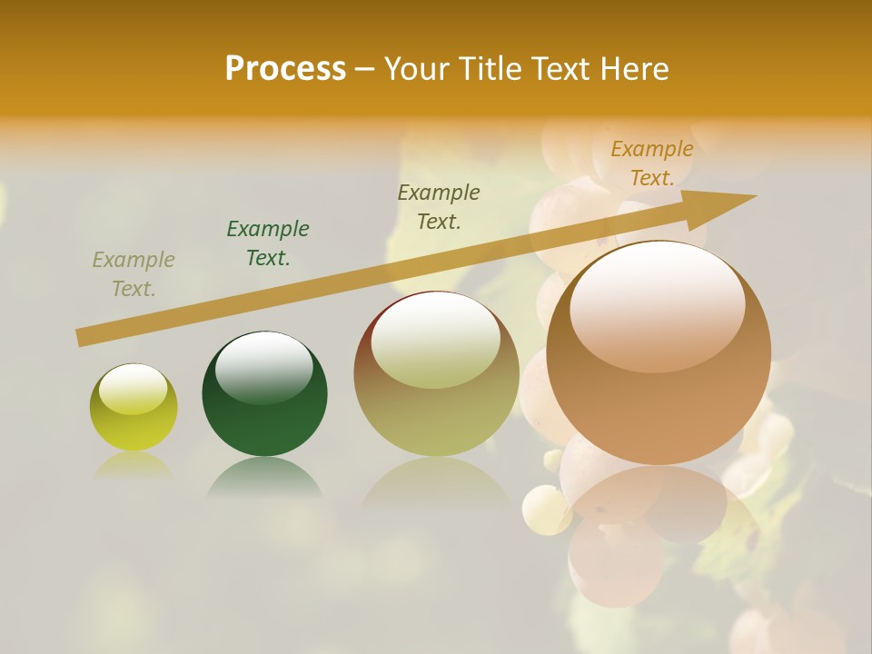 Crop White Sunlight PowerPoint Template