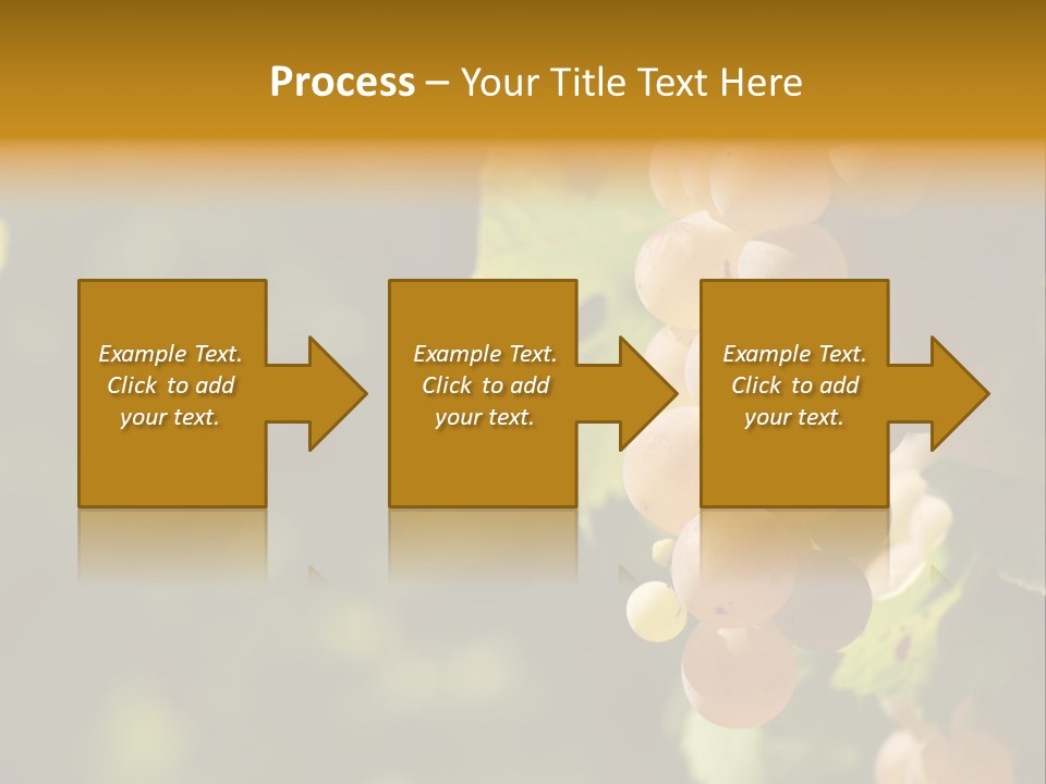 Crop White Sunlight PowerPoint Template