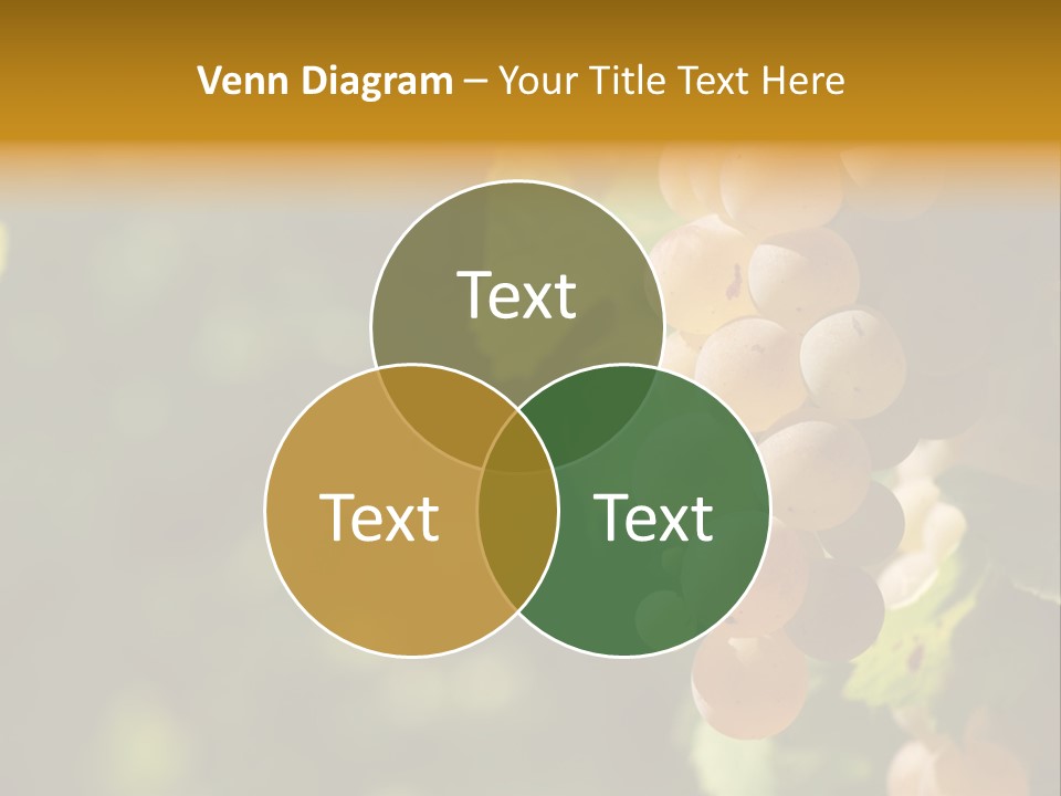 Crop White Sunlight PowerPoint Template