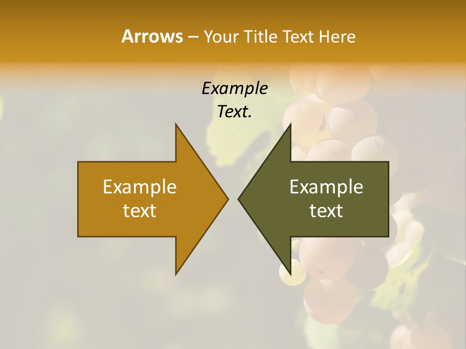 Crop White Sunlight PowerPoint Template