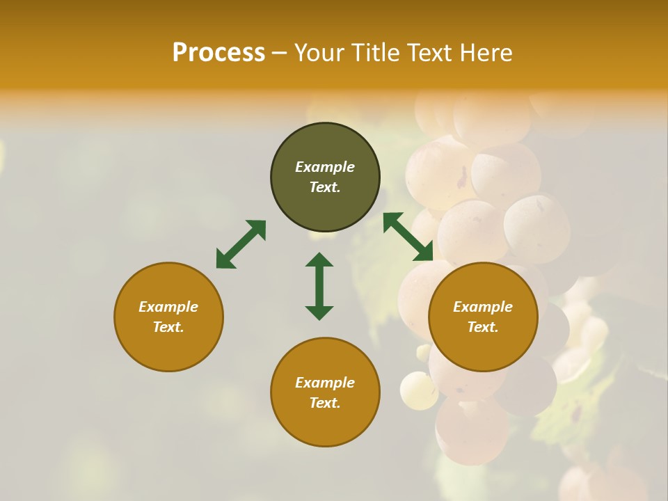 Crop White Sunlight PowerPoint Template