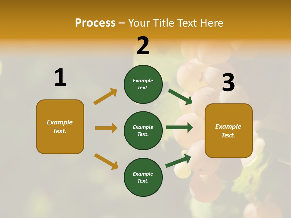 Crop White Sunlight PowerPoint Template