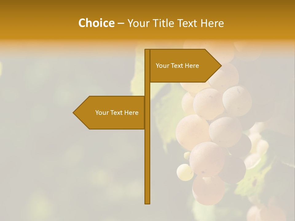 Crop White Sunlight PowerPoint Template