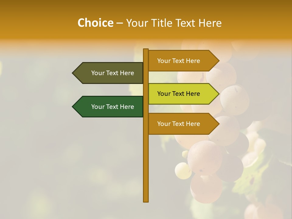Crop White Sunlight PowerPoint Template