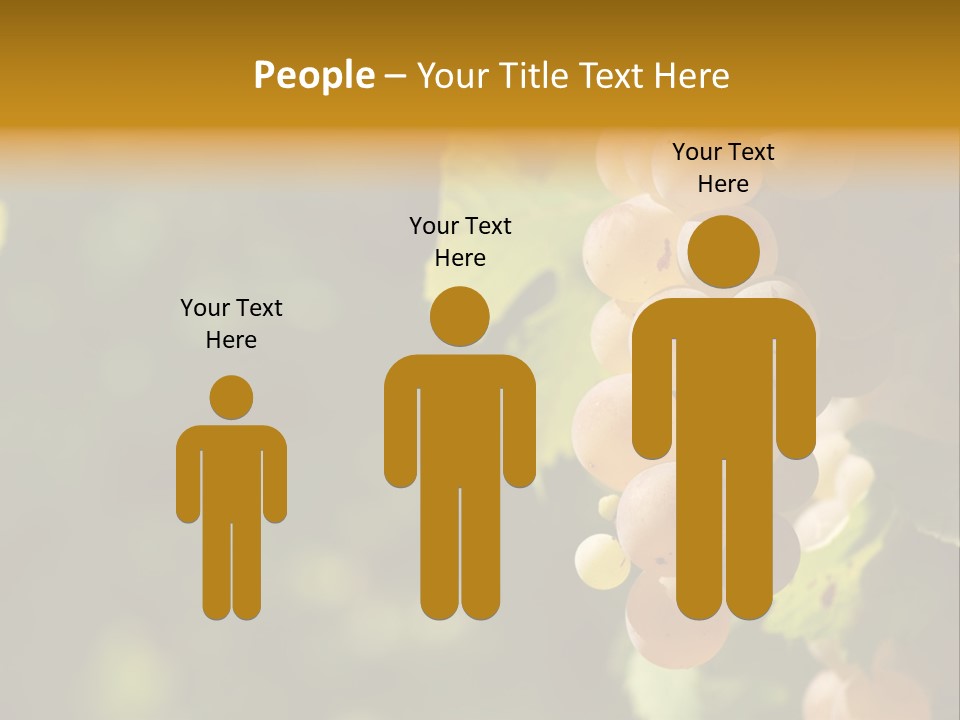 Crop White Sunlight PowerPoint Template